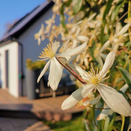 Hastings Casita, 'Little House' Self Contained Garden Lodge, Close To Town And Seafront 外观 照片