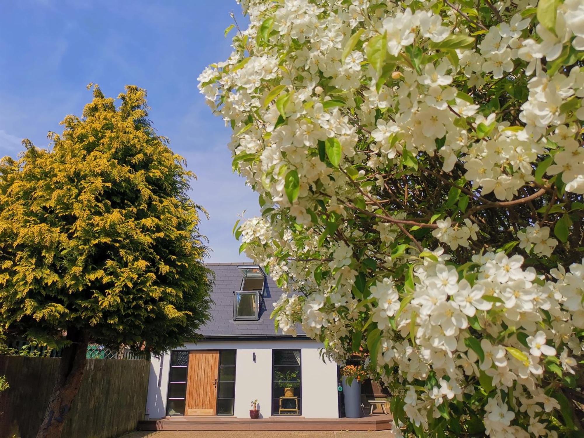 Hastings Casita, 'Little House' Self Contained Garden Lodge, Close To Town And Seafront 外观 照片